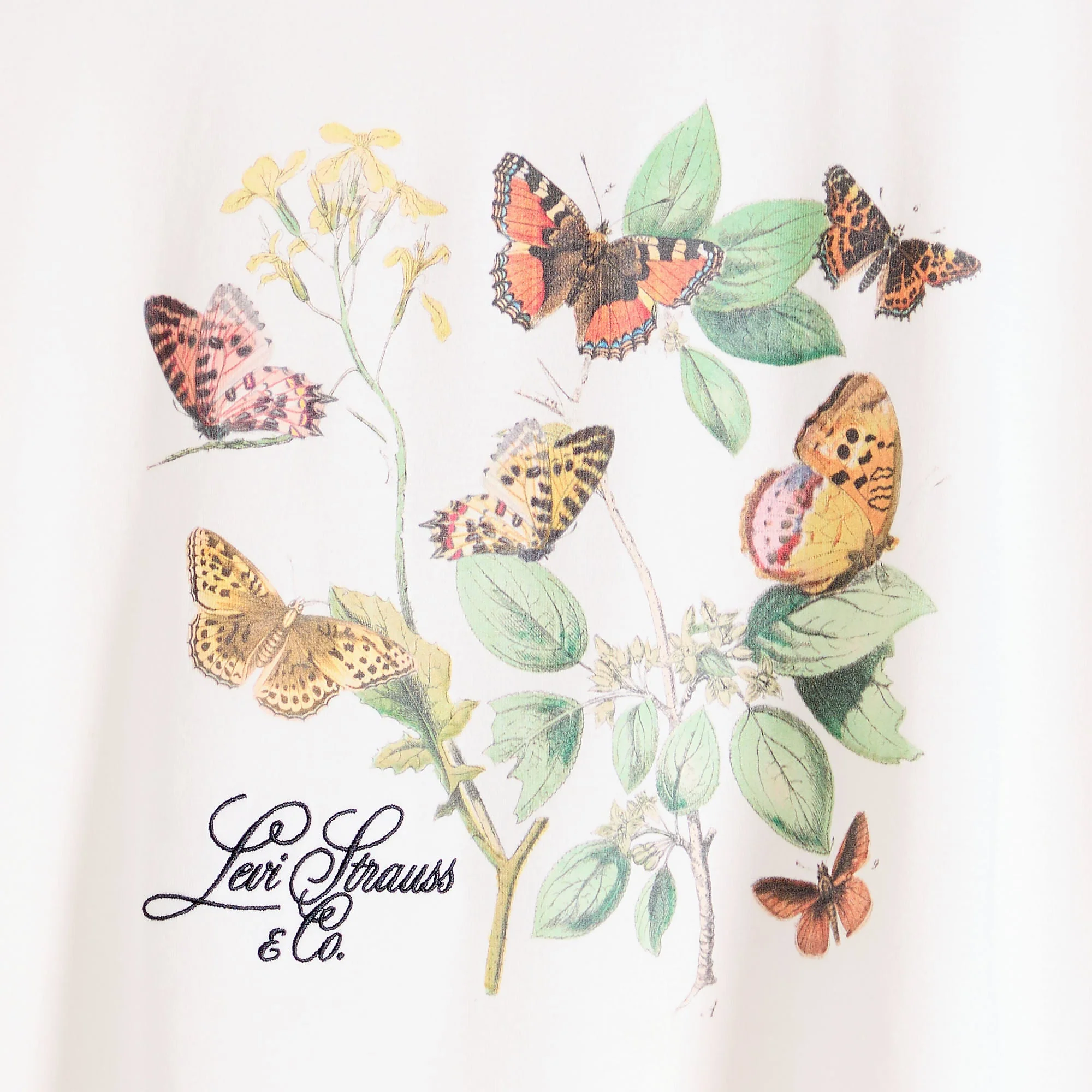 Levi's® Women's Graphic Tabor T-Shirt - Image 6